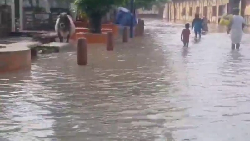 मथुरा में बाढ़ की विभीषिका, चारों तरफ पानी पानी (फोटो सोर्स- 'X' मथुरा वीडियो ग्रैब)
