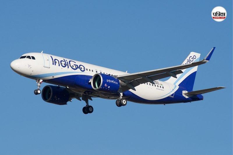 Indigo new Advisory