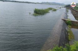 Rajasthan Monsoon: 28 साल बाद छलका राजस्थान का यह बांध, मानसून की मेहरबानी से
खुली किसानों की किस्मत - image