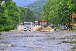 Monsoon का रौद्र रूप: 4, 5, 6, 7 सितंबर तक भारी बारिश की चेतावनी, कई राज्यों में
स्कूल बंद, बाढ़ से पंजाब में हाहाकार - image