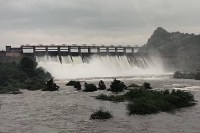 Jawai Dam news