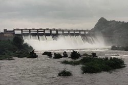 Jawai Dam: झमाझम बारिश से खुशियां ओवरफ्लो, जवाई बांध के 8 गेट पांच-पांच फीट
खोले, प्रशासन अलर्ट मोड पर - image