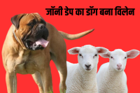 Johnny Depp's dog becomes the villain