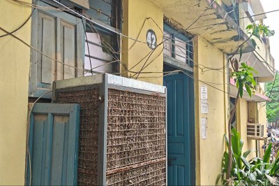 Mosquitoes in government offices