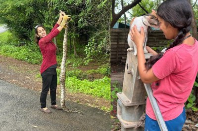 Girl rescuing snakes
