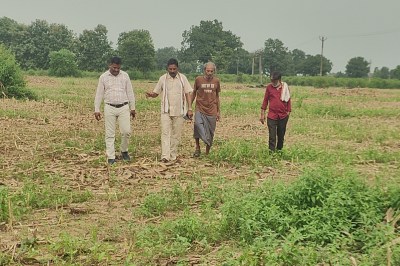 Gold mine to be started in Katni