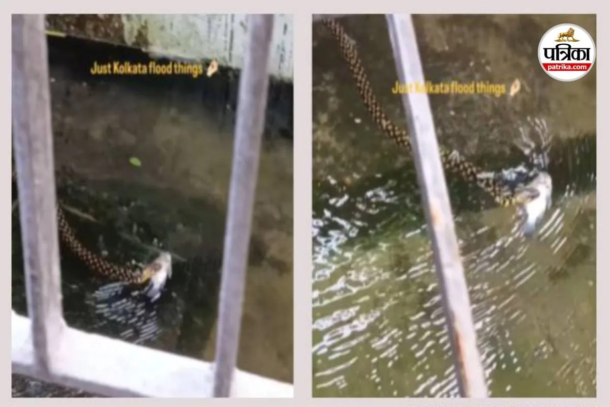 Kolkata Floods viral video