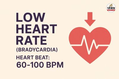 Bhagwant Mann low heart rate, low pulse rate, low heart rate, symptoms of low pulse rate, Punjab CM hospitalised, risky low heart rate,