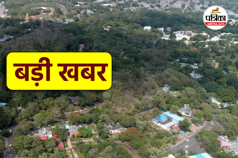 MP News western bypass