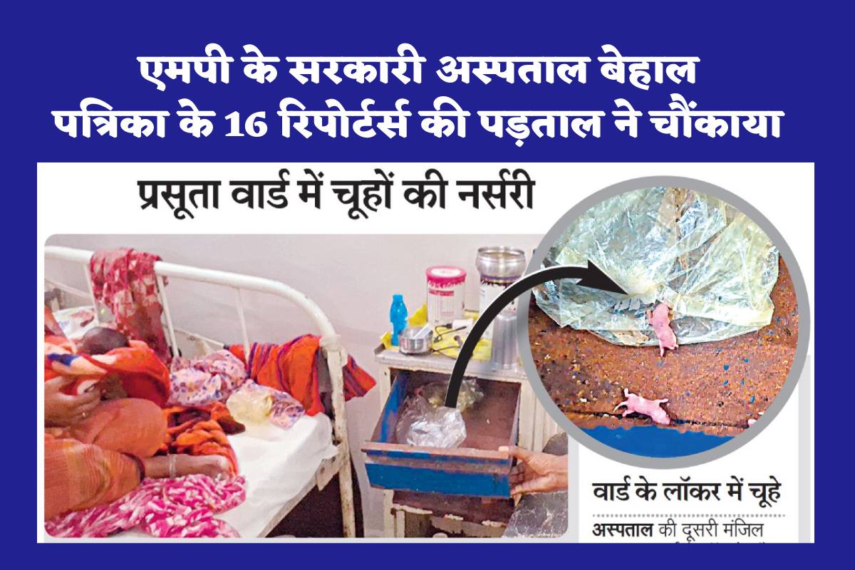 MP news