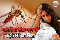 Delhi malaria cases, Delhi MCD, Malaria symptoms, fumigation,