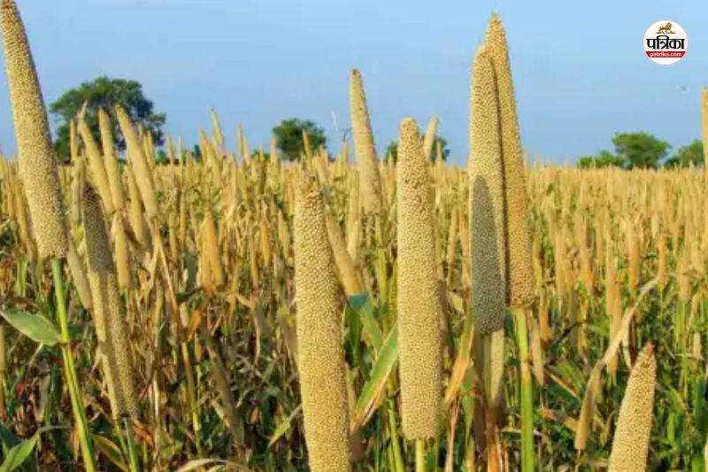 Millet