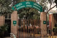 NGT