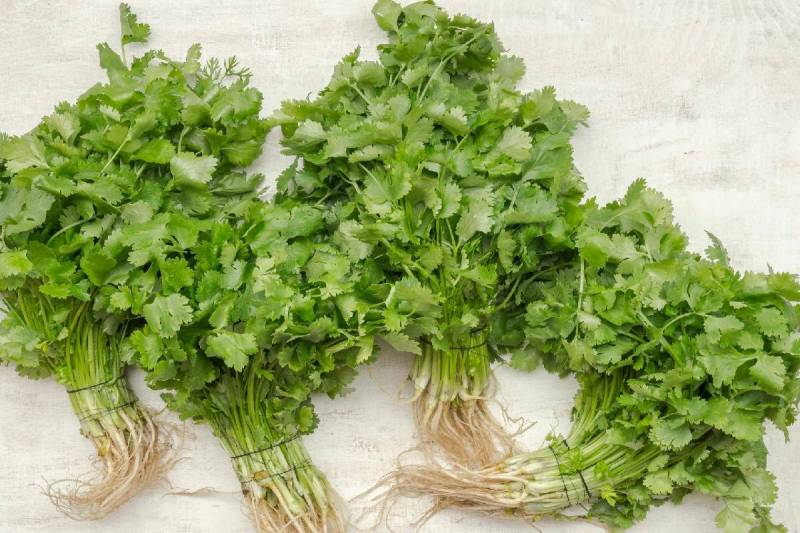 (सोर्स: सोशल मीडिया)