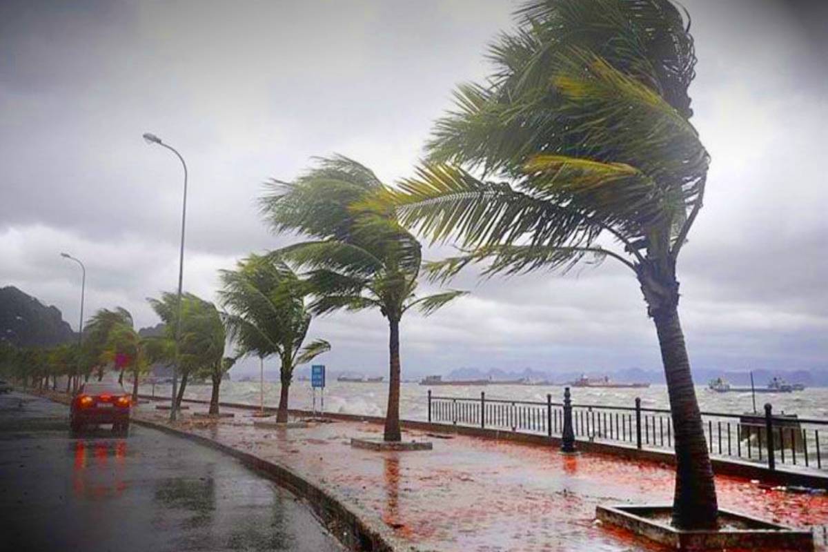 heavy rain in 23 districts on 1-2-3-4 September