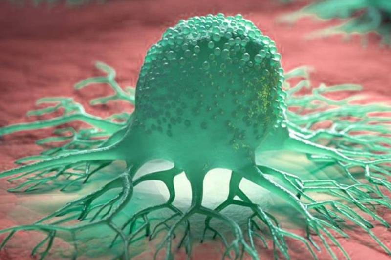 फोटो सोर्स: पत्रिका