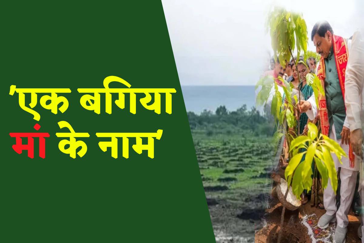 फोटो सोर्स: पत्रिका