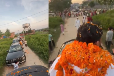 animal smuggler bail celebration video anuppur mp news