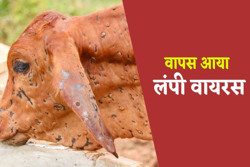 फोटो सोर्स: पत्रिका