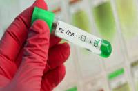 फोटो सोर्स: पत्रिका