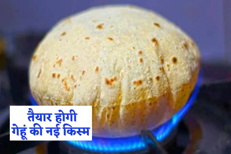 फोटो सोर्स: पत्रिका