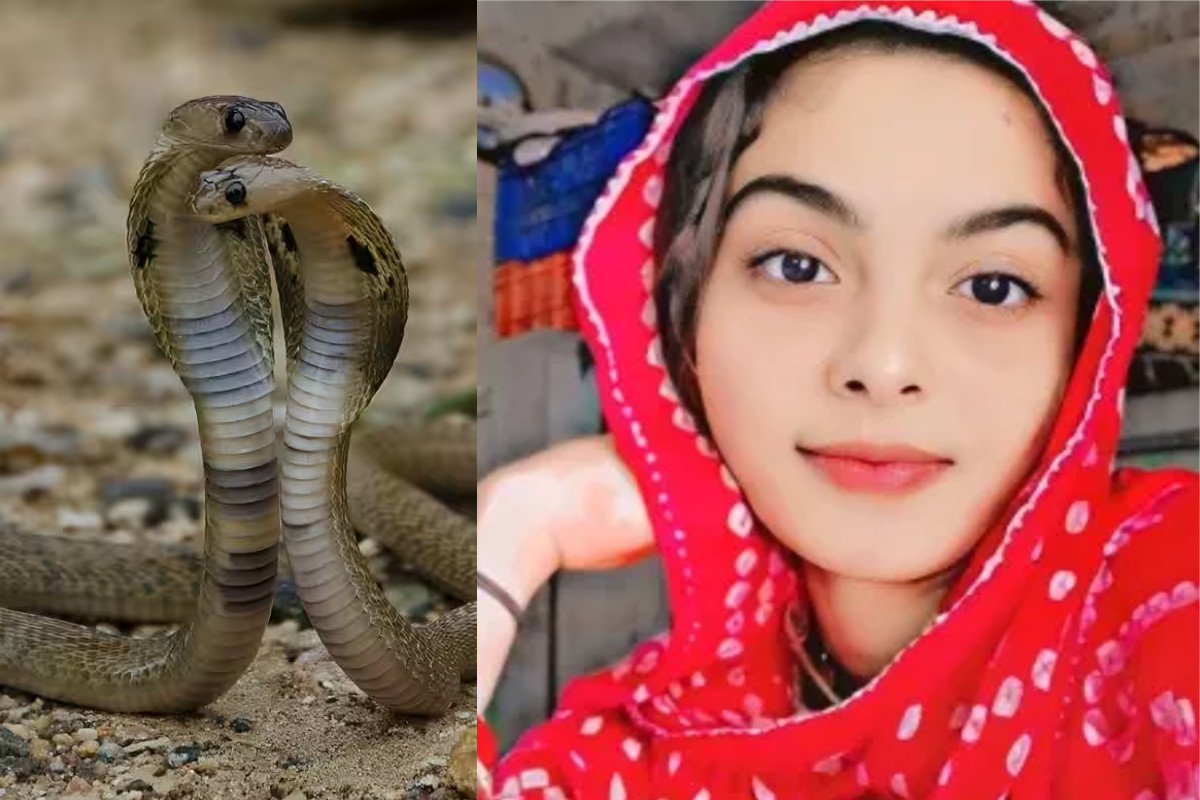 Pali Afsana was bitten by snake