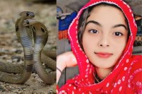 Pali Afsana was bitten by snake