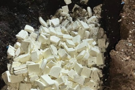 synthetic Paneer