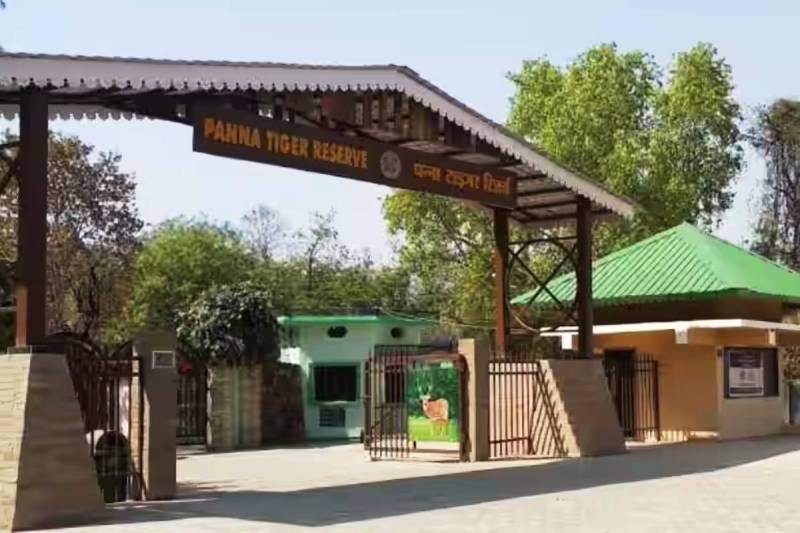 Panna tiger Reserve