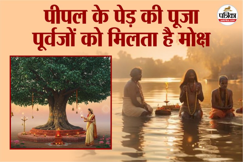 Peepal Tree,pitru paksha 2025, pitru paksha 2025, pitru paksha starting date, pitra dosh,