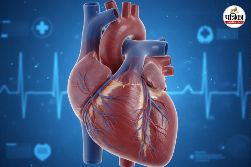 Premature Heart Disease India, Early Heart Attack in Young Adults, Heart Disease in Young People, Causes of Premature Heart Disease, Premature Heart Attack Symptoms,