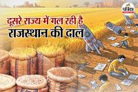 Rajasthan Pulses Production third ranks in country but is sluggish in startups Gujarat-Maharashtra are enjoying