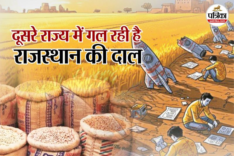 Rajasthan Pulses Production third ranks in country but is sluggish in startups Gujarat-Maharashtra are enjoying