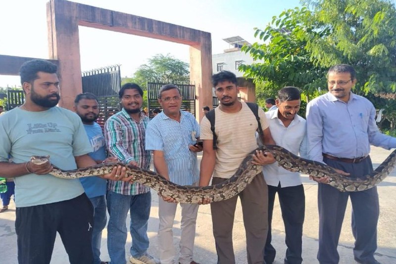 Python in College