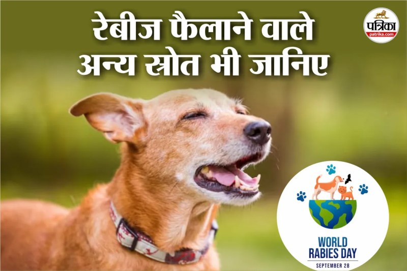 Which Animals Bite Ca n Cause Rabies,World Rabies Day, World Rabies Day 2025