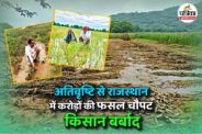 Rajasthan 22 districts crops destroyed Due to excessive rain farmers worried read this ground report to know their pain