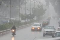Monsoon Rain