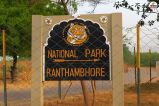 Ranthambore tiger reserve