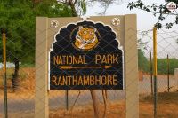 Ranthambore tiger reserve