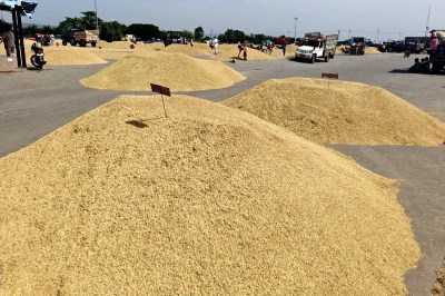 मंडी में नए धान ने दी दस्तक