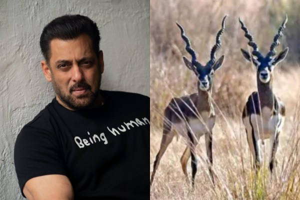 Salman Khan blackbuck poaching case