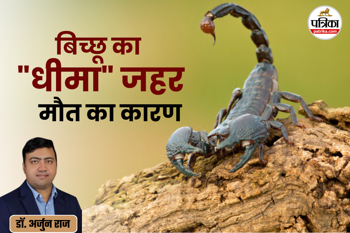 Scorpion Bite Treatment, Scorpion Bite In India, bichu ke katne par kya kare, bichu ke katne ka ilaaj,