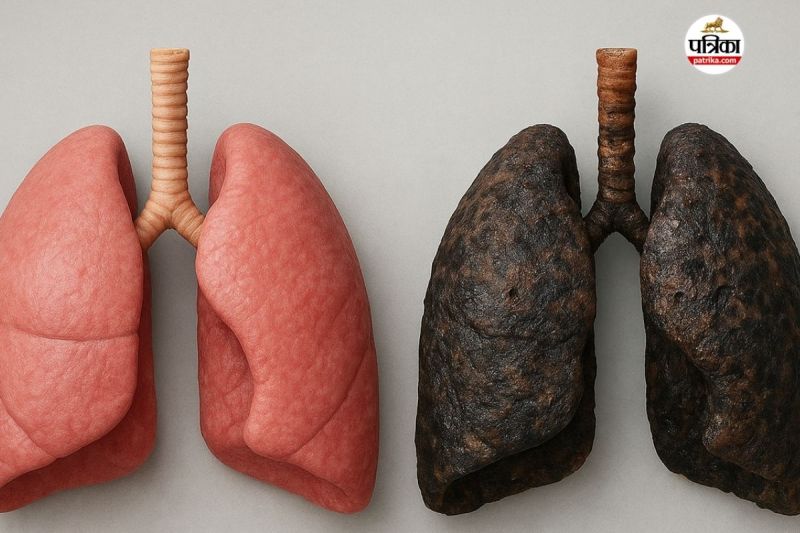 Smoking related cancers, pancreatic cancer, lung cancer, Cancer spreading beyond lungs due to smoking, Organs affected by cigarette smoking, Smoking causes bladder and throat cancer,