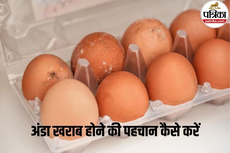 Food Poisoning From Eggs,how to store eggs properly,Egg freshness test,