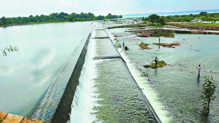 अच्छी बारिश के कारण तीन साल बाद बालोद, दुर्ग, बेमेतरा का जीवनदायिनी तांदुला जलाशय छलक गया है। इसी तरह खरखरा जलाशय भी छलक गया है।