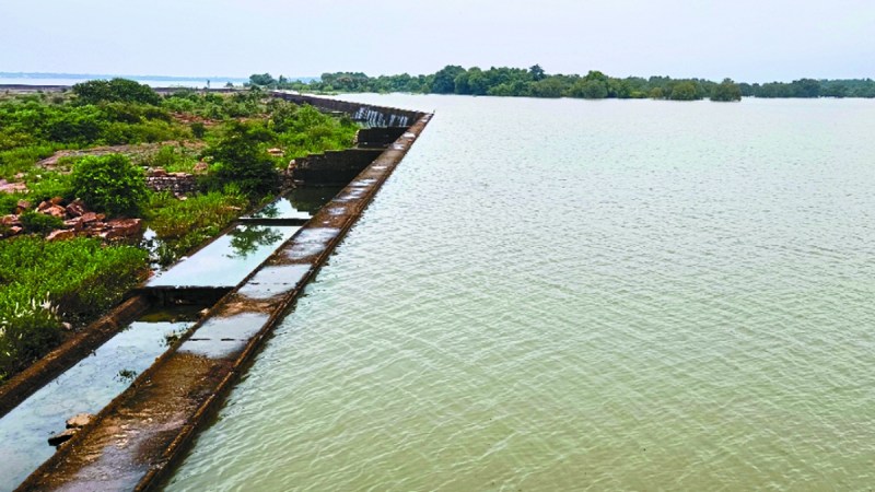 तांदुला व गंगरेल को जोड़कर बालोद के अलावा दुर्ग, बेमेतरा जिले में पेयजल व सिंचाई के लिए 2010-2011 में महानदी गंगरेल-तांदुला लिंक नहर परियोजना स्वीकृत हुई। 14 साल बाद भी कार्य प्रारंभ नहींं हो पाया।