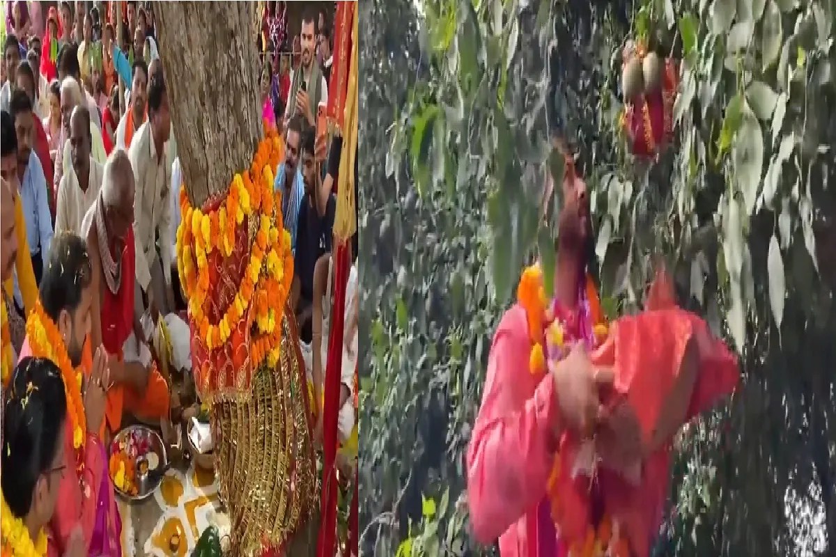 बस्तर में 600 साल पुरानी दशहरा परंपरा, राजपरिवार ने बेलफलों का कराया विवाह, देखें Video
