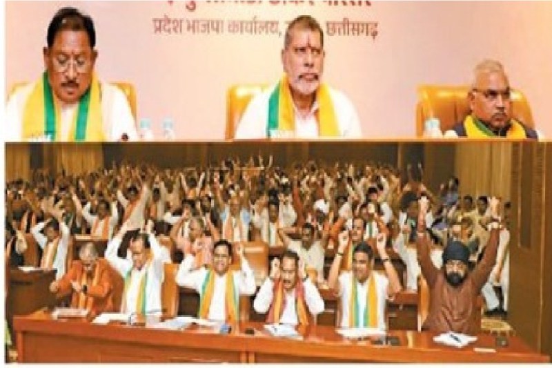 नई टीम के सहारे ही BJP लड़ेगी चुनाव(photo-patrika)