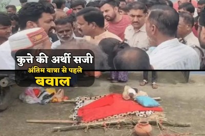 Vidisha News dog death case