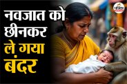 Uttar Pradesh News